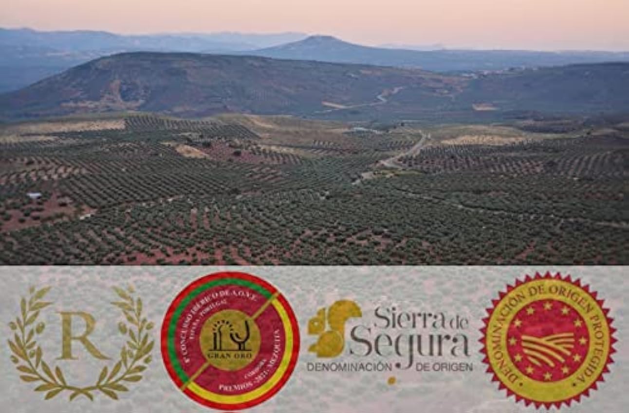 ORO EN RAMA | Aceite de Oliva Virgen Extra Picual de Jaén | Premio Mejor AOVE Verde de Cosecha Temprana | DOP Sierra de Segura | Sabor frutado intenso KeVtpJh5