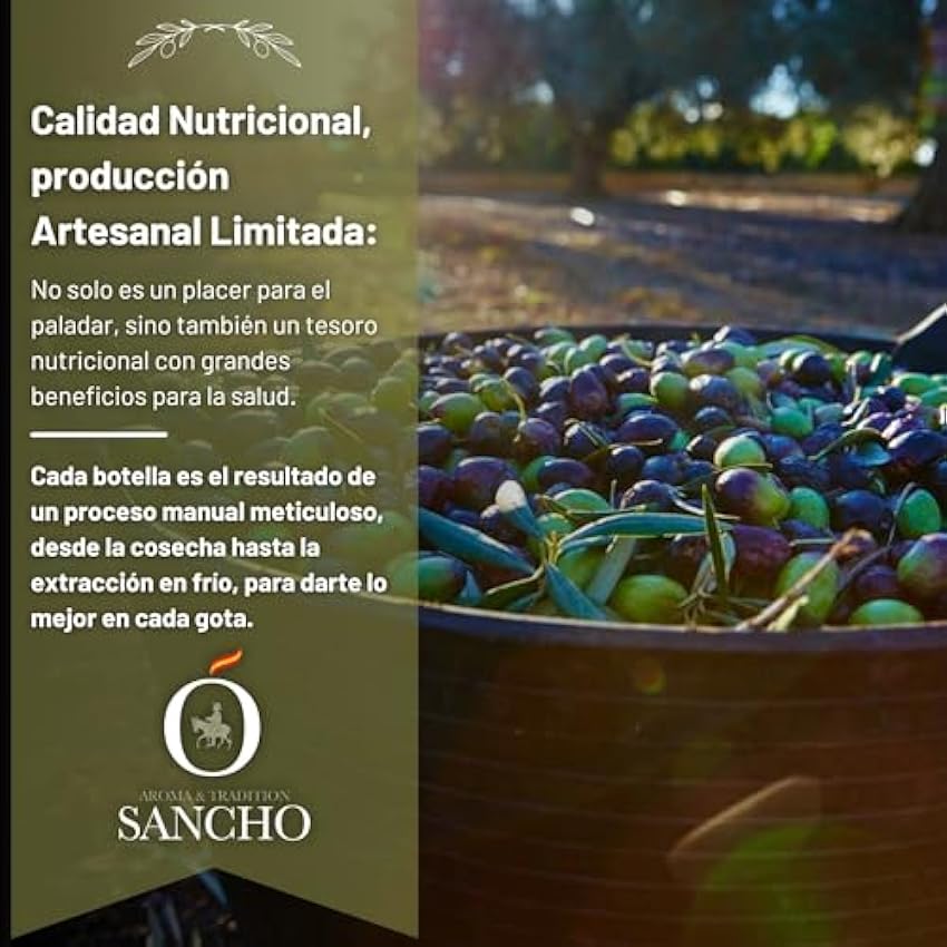 Aceite de Oliva Virgen Extra Sancho | Variedad Arbequina 100% - Pack 2 Botellas PET (plástico alimentario) de 750ml | Directo del productor hasta tu mesa | Calidad nutricional excepcional OGezAsAN